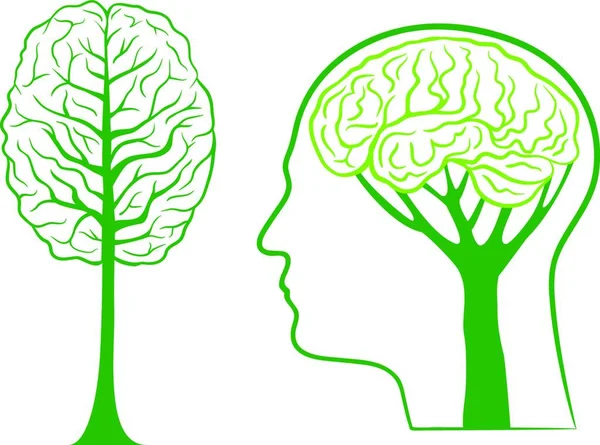 Green Brain Tree Vector Illustration — Stock Vector