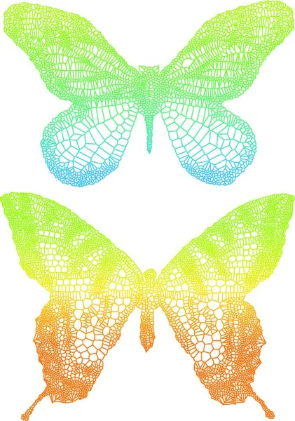 Vector Illustration Butterflies — Stock Vector