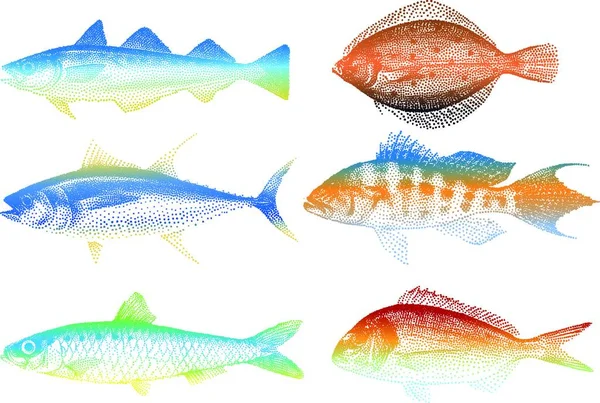 海の魚現代ベクターのイラスト — ストックベクタ