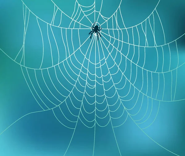 Vektorový Pavouk Webová Ilustrace — Stockový vektor