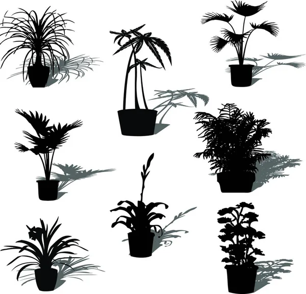 Απεικόνιση Των Φυτών Γλάστρα — Διανυσματικό Αρχείο