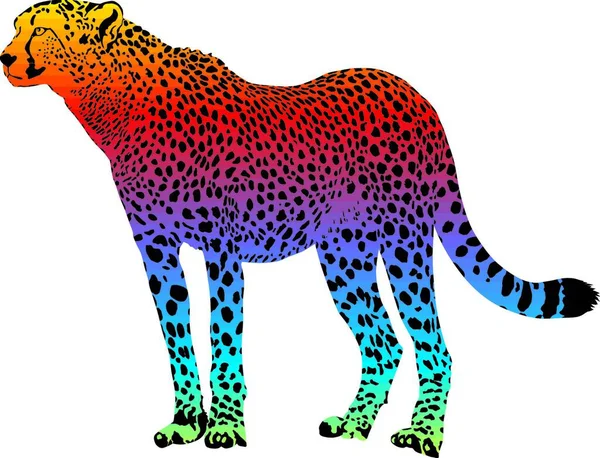 Cheetah Vector Abstracte Regenboog — Stockvector