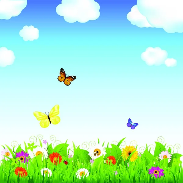 Blumenwiese Mit Schmetterlingen — Stockvektor