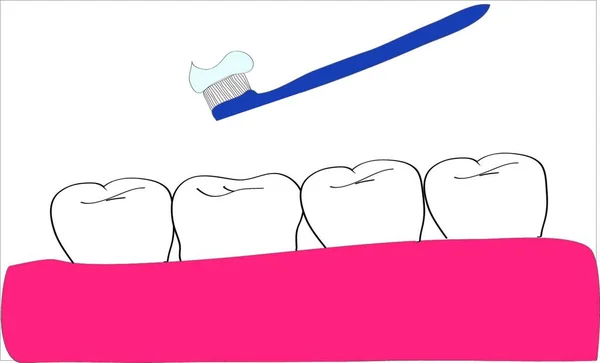 Teeth Tooth Brush Paste — Stock Vector