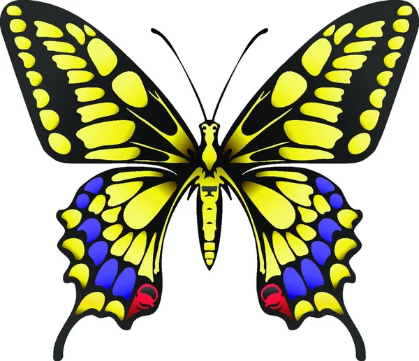 Mariposa Con Alas Ilustración Artística Creativa — Vector de stock