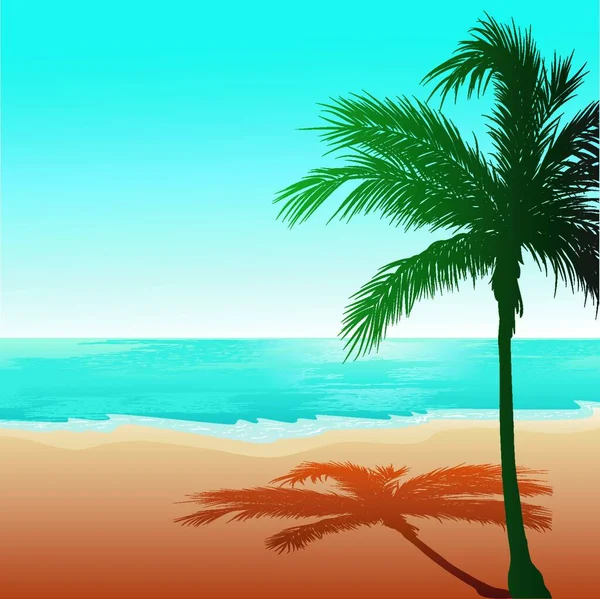 Beach Background Graphic Vector Illustration — Stock Vector