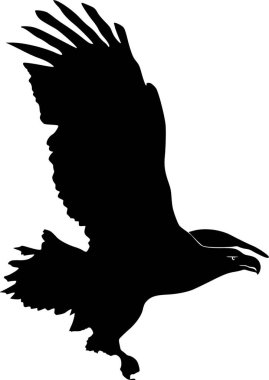 Deniz Kartalı silueti vektör çizimi