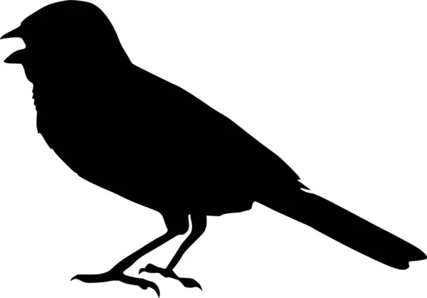 Silhouette Sparrow Vector Illustration — Stock Vector