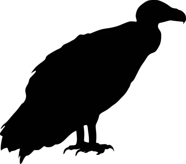 Silhouette Avvoltoio Vettoriale Illustrazione — Vettoriale Stock