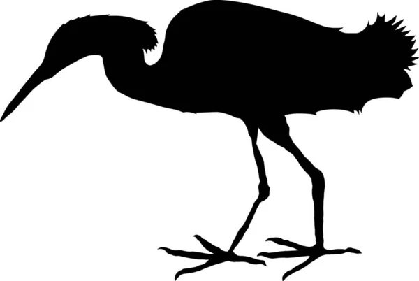Heron Silhouette Vettoriale Illustrazione — Vettoriale Stock