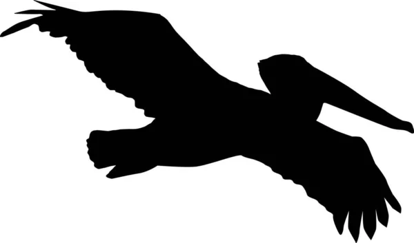 Ilustrasi Vektor Siluet Pelican - Stok Vektor