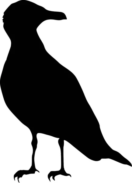 Seagull Silhouette Vector Illustration — Stock Vector