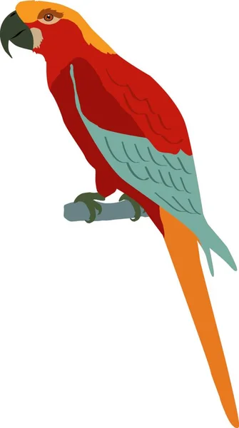 Macaw Färg Vektor Illustration — Stock vektor