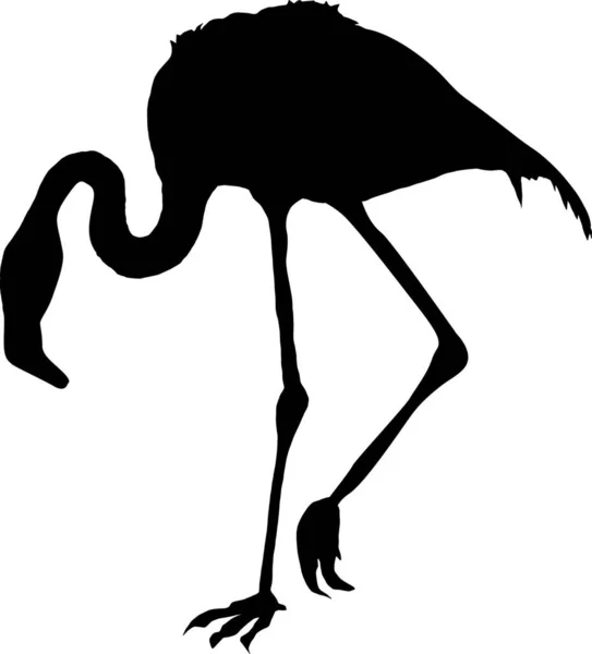 Ilustração Flamingo — Vetor de Stock