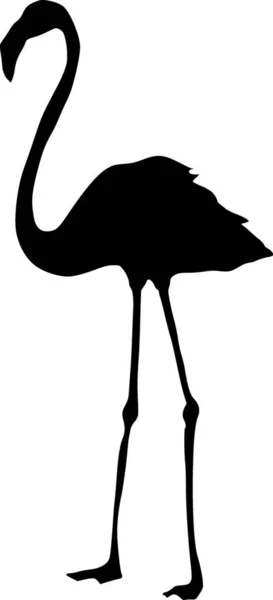 Illustration Flamingo — Stock Vector