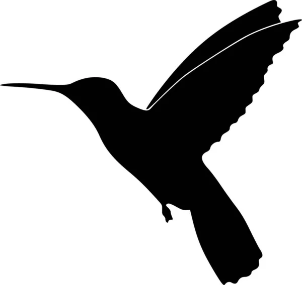 Ilustracja Sylwetki Kolibra — Wektor stockowy