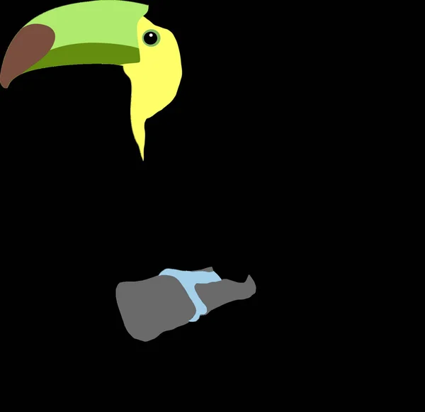 Illustration Toucan — Stock Vector