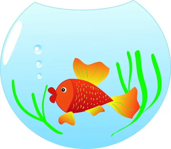 Illustration Aquarium Fish — Stock Vector