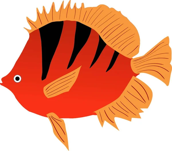 Ilustração Peixe Aquário — Vetor de Stock
