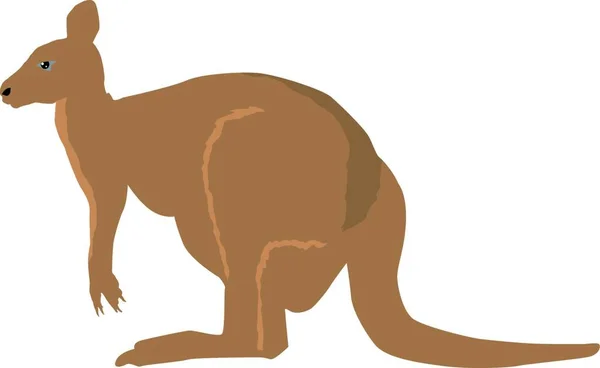 Ilustracja Kangura — Wektor stockowy