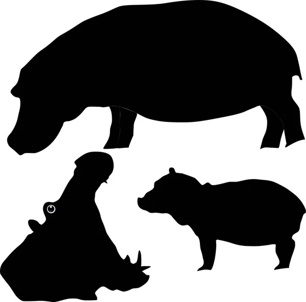 Ilustracja Hipopotama — Wektor stockowy