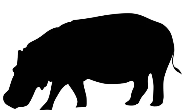 Illustration Hippopotame — Image vectorielle