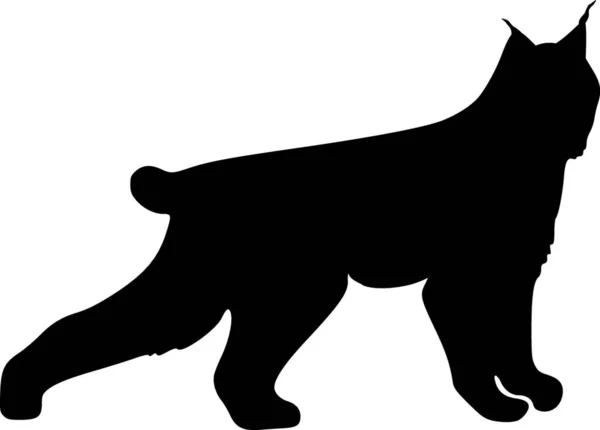Illustration Lynx — Image vectorielle