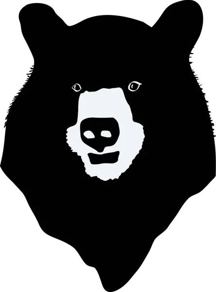 Abbildung Des Bären — Stockvektor
