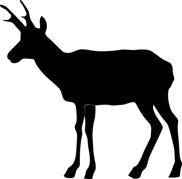 Ilustrace Antilopu — Stockový vektor