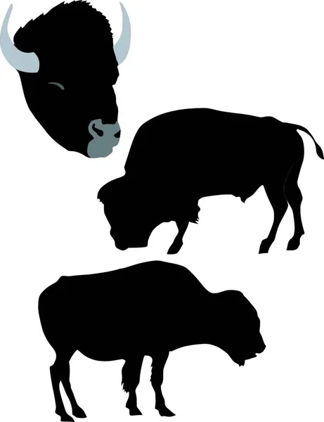Illustrazione Del Bisonte — Vettoriale Stock