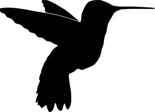Illustration Der Silhouette Eines Kolibris — Stockvektor