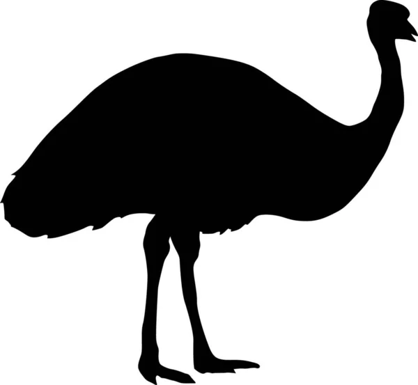 Illustration Der Silhouette Des Emu — Stockvektor