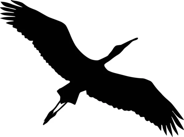 Abbildung Des Storchs — Stockvektor