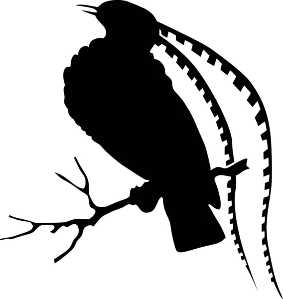 Ilustrace Ptáka Ráje — Stockový vektor