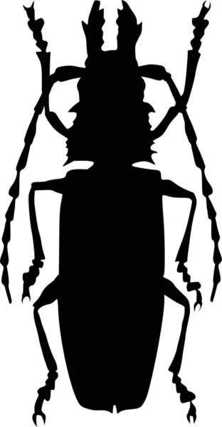 大型甲虫图例 — 图库矢量图片