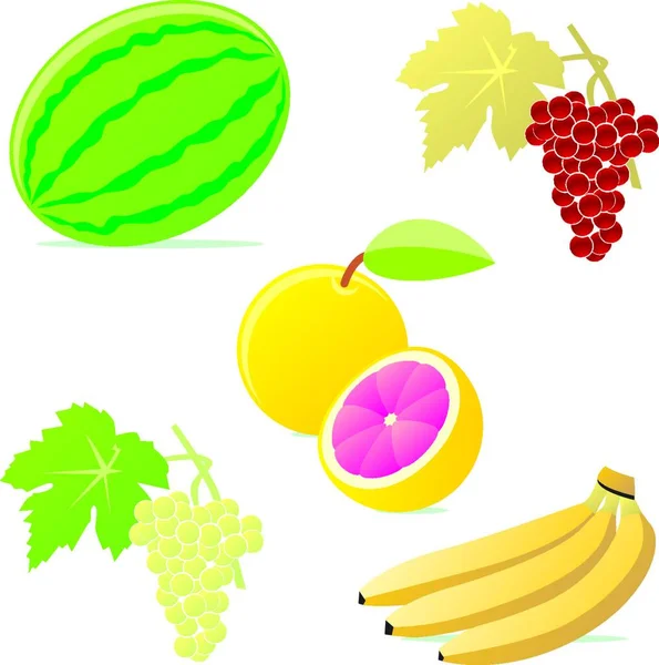 Illustration Des Fruits Isolés — Image vectorielle