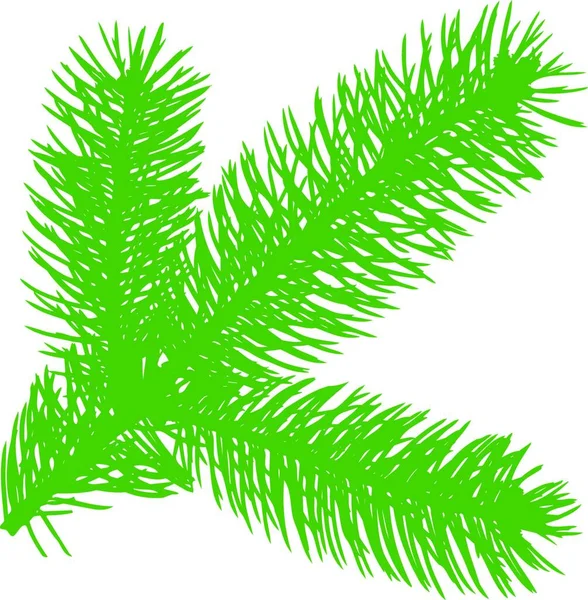 Illustration Den Gröna Delen Firtree — Stock vektor
