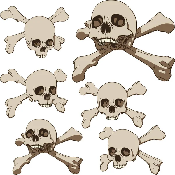 Cinco Cráneos Ilustración Vectorial — Archivo Imágenes Vectoriales