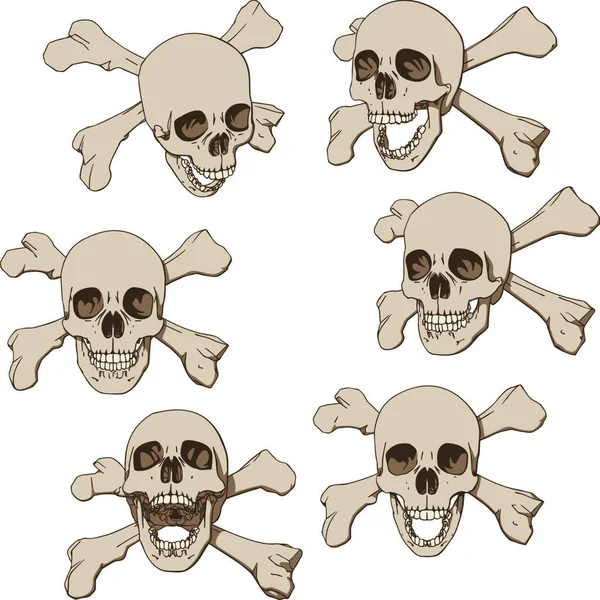 Set Seis Cráneos Ilustración Vectorial — Archivo Imágenes Vectoriales