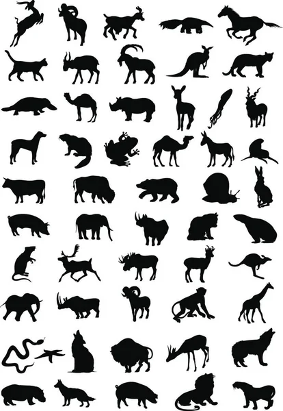 Zvířata Stylová Vektorová Ilustrace — Stockový vektor