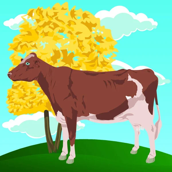 Cow Graphic Vector Illustration — Stock Vector