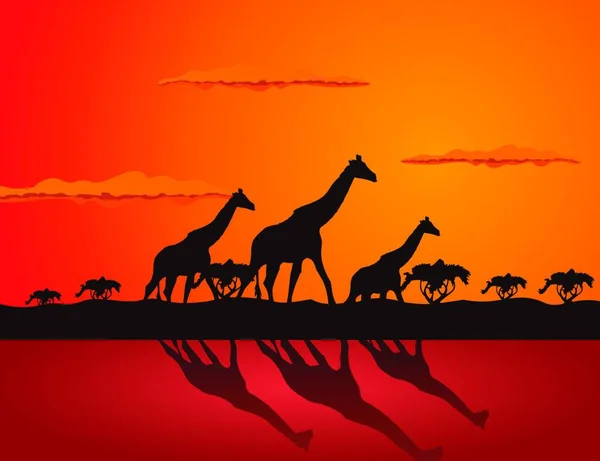 Girafa Ilustração Gráfica Vetorial — Vetor de Stock