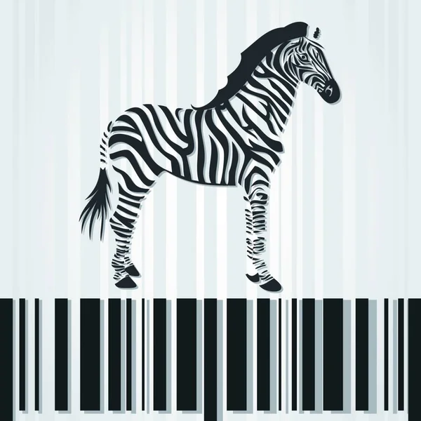 Zebra Graphic Vector Illustration — Stock Vector