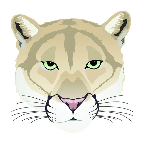 Puma Ilustracja Wektora Graficznego — Wektor stockowy