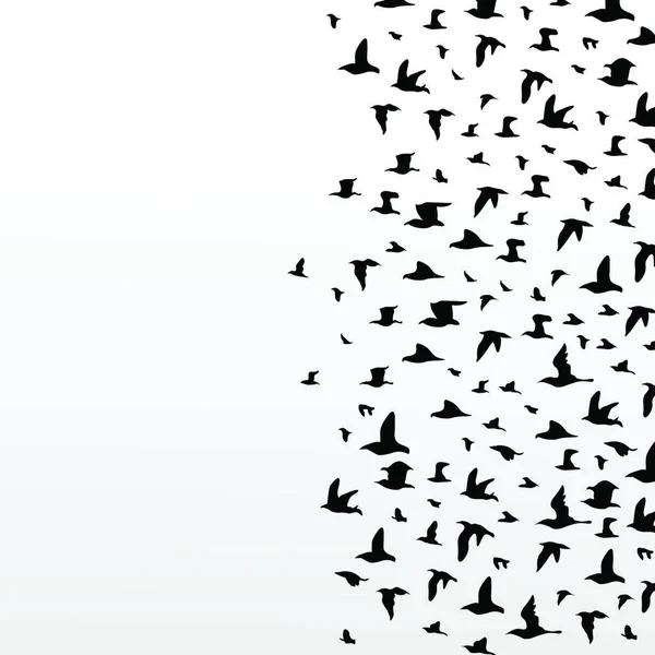 Flight Birds Icon Web Vector Illustration — Stock Vector