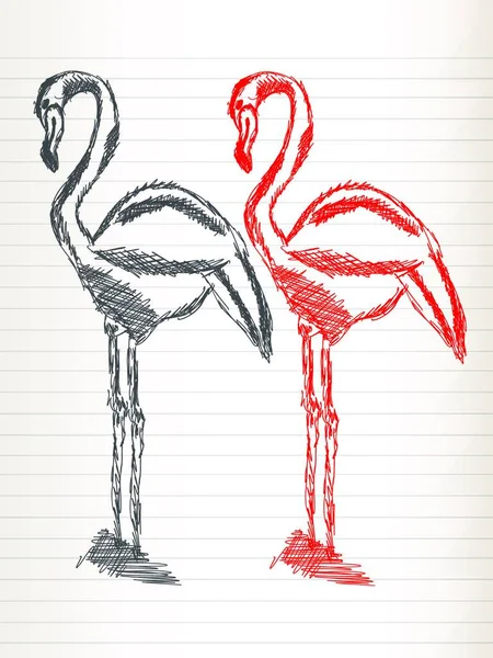 Esboço Flamingo Ilustração Vetorial — Vetor de Stock