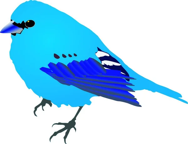 Schöner Blauer Vogel Vektor — Stockvektor