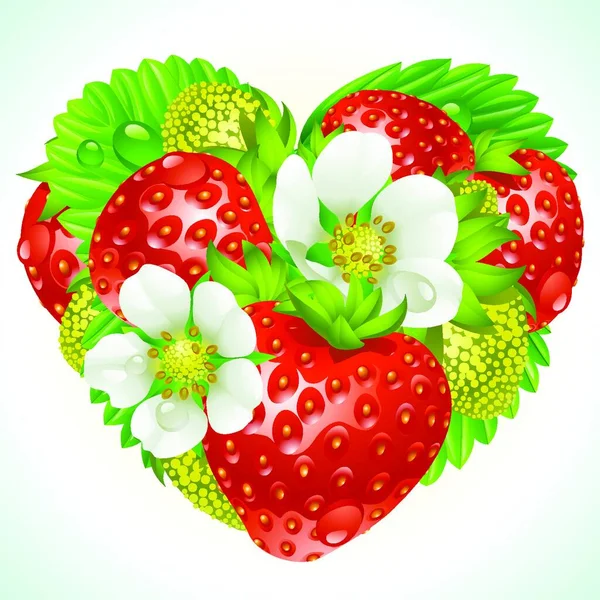 Erdbeeren Herzform — Stockvektor