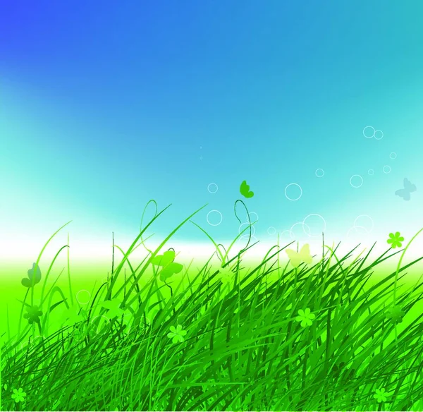 Green field with butterflies, summer background