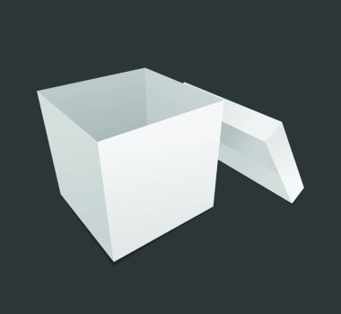 Kutu açık vektör illüstrasyonu 